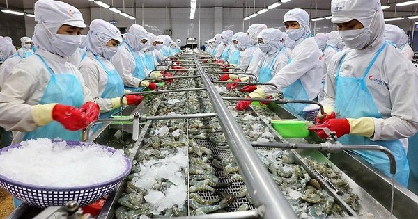thumbnail - Xuất khẩu tôm sẽ giảm tốc nửa cuối năm, mục tiêu 10 tỷ USD của ngành thủy sản có lung lay?