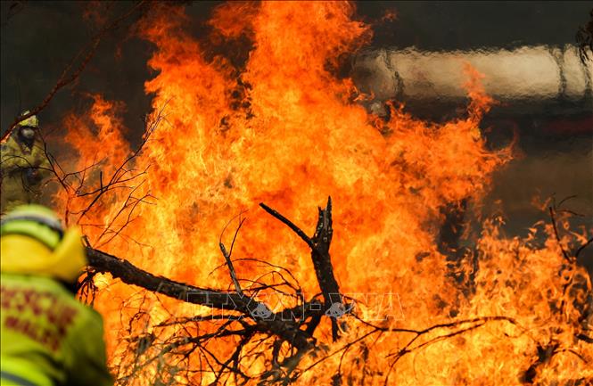 Thêm 240.000 người dân được yêu cầu sơ tán do cháy rừng ở Australia 