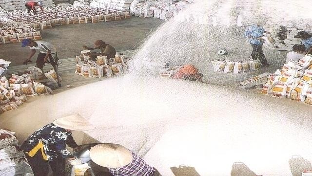Diễn biến thị trường gạo trong nước trước tin Philippines tính nhập khẩu thêm nhiều gạo