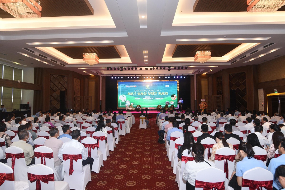 Toàn cảnh Hội thảo “Khơi thông dòng chảy hạt gạo Việt Nam”