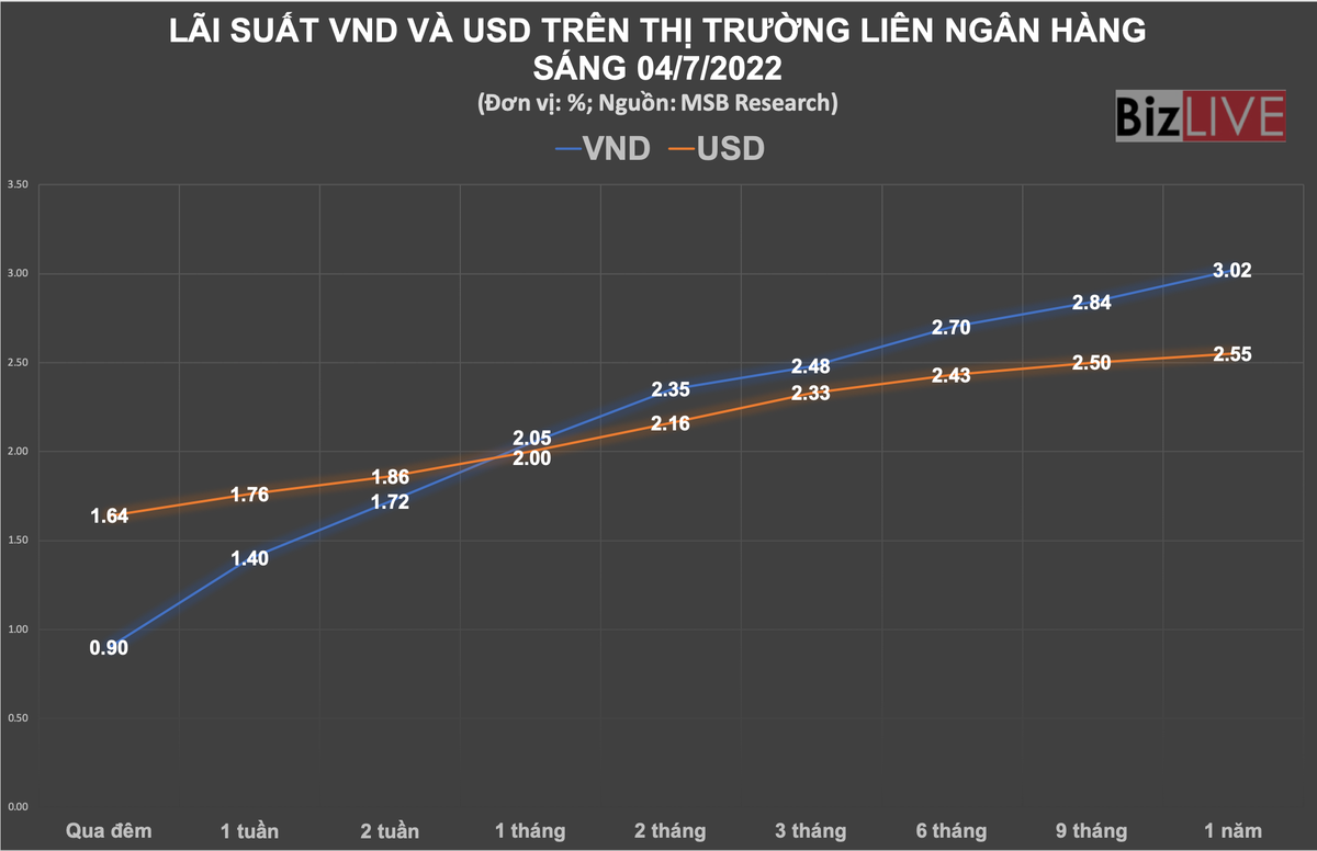 Chênh lệch lãi suất giữa VND với USD vẫn âm lớn ở các kỳ hạn ngắn