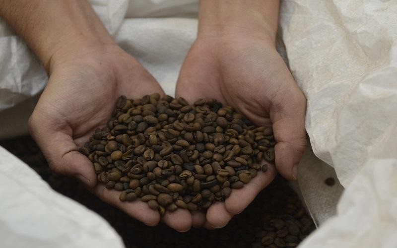 Sắp có một loạt doanh nghiệp hàng đầu trên thế giới đầu tư nhà máy cà phê tại Việt Nam