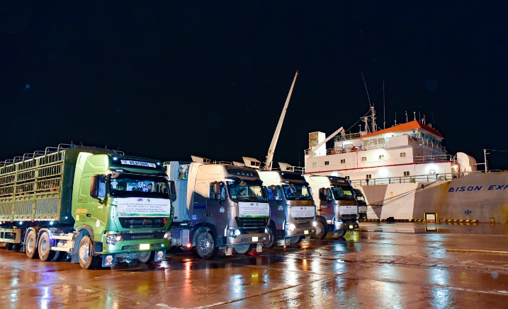 Đoàn xe 35 chiếc đón 1.000 bò sữa thuần chủng HF từ cảng quốc tế Nghi Sơn (Thanh Hóa) và di chuyển về cửa khẩu Nậm Cắn ngay trong đêm.