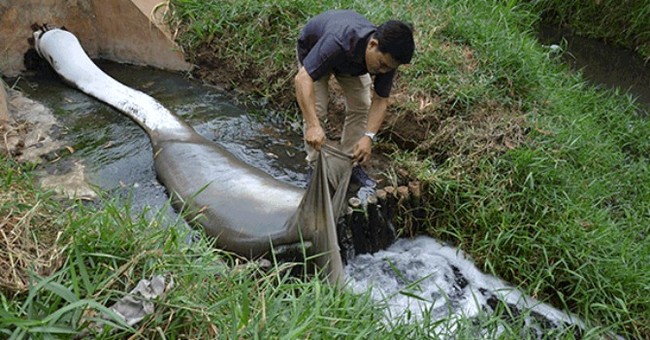 “Điểm mặt” 10 công ty gây ô nhiễm nghiêm trọng nhất ở Việt Nam ảnh 4
