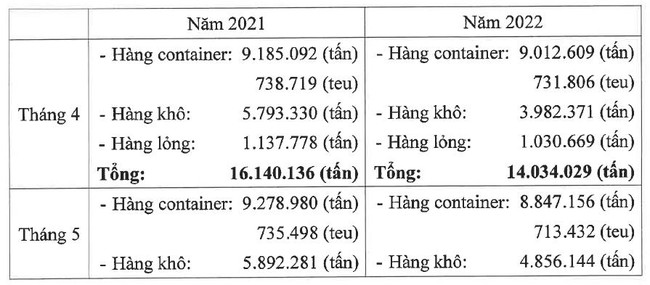 Lượng hàng thông qua các cảng biển của TP.HCM liên tiếp giảm từ khi áp dụng thu phí hạ tầng ảnh 1