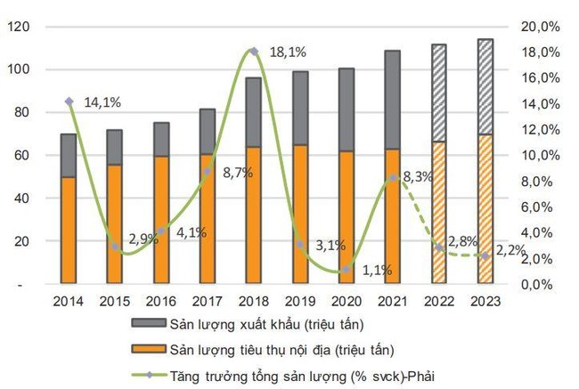 Doanh nghiệp xi măng có cải thiện được kết quả kinh doanh trong năm 2022? ảnh 1