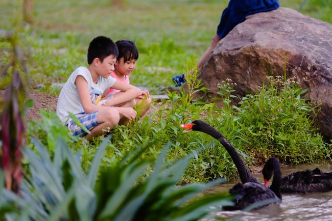Trẻ con Ecopark có tuổi thơ của “thời ông bà, cha mẹ” ảnh 7