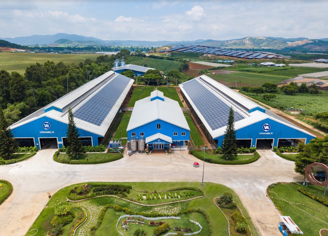Cụm trang trại bò sữa Vinamilk Đà Lạt được vinh danh tại Giải thưởng Môi trường Việt Nam ảnh 2