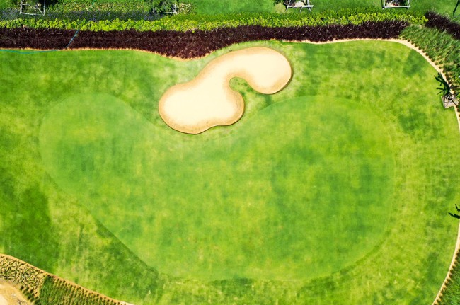 Quy Nhơn lần đầu tiên có sân golf do Greg Norman thiết kế ảnh 2